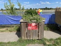 Blumenbeet von den Alberdingk Boley Azubis