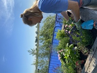 Blumenbeet vom Stadtmarketing