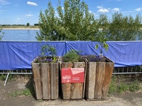 Blumenbeet der Feuerwehr Uerdingen