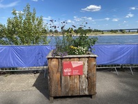 Blumenbeet vom Uerdinger Mundartstammtisch