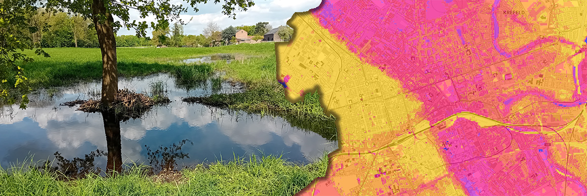 Landschaft mit Grundwasser an der Oberfläche