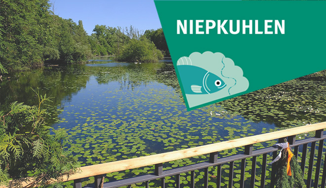 Impressionen der NiepkuhlenBild: Stadt Krefeld, Presse und Kommunikation Impressionen der NiepkuhlenBild: Stadt Krefeld, Presse und Kommunikation